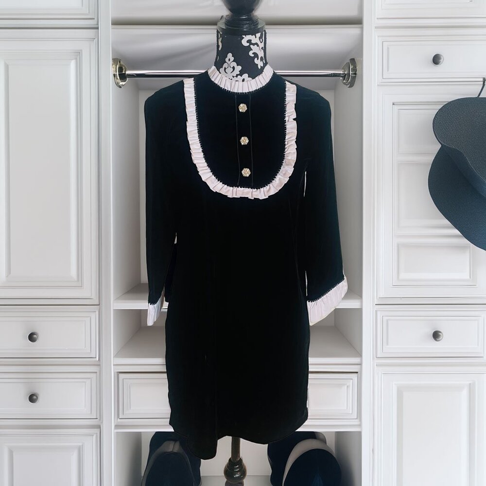 Zara Woman Black Velvet White Bib Ruffle with Jewel Buttons Cocktail Party Dress